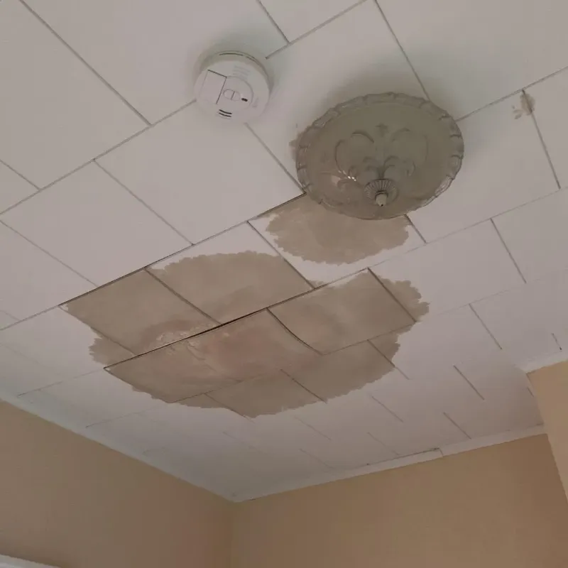 Ceiling Water Damage Repair in Northwest Harborcreek, PA