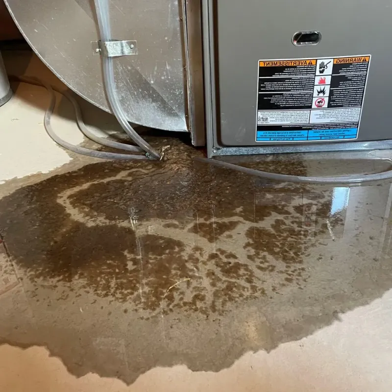 Pipe Burst and Leak Restoration in Northwest Harborcreek, PA